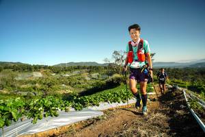 BIB: 319
                            <button type="button" onclick="openModal(19120975)" class="btn btn-primary btn-sm float-right btn-popup" data-toggle="modal" data-target=".modal-high-quality">
                        <i class="fas fa-shopping-cart"></i> Add to Cart
                    </button>
                                            <button type="button" onclick="isThisMe(19120975, true)" class="btn btn-success btn-sm float-right btn-popup btn-isme hidden" data-toggle="tooltip" data-placement="bottom" title="นี่คือรูปของคุณใช่ไหม คลิกที่นี่เพื่อเอาเข้าอัลบั้ม">
                        <i class="fas fa-plus"></i> Add to album
                    </button>
                    <button type="button" onclick="isThisMe(19120975, false)" class="btn btn-warning btn-sm float-right btn-popup btn-isnotme hidden">
                        <i class="fas fa-ban"></i> Remove from album
                    </button>